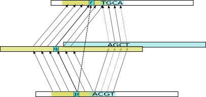 Example transitive alignment constructed from combining the indirect alignments for two intermediate sequences (yellow and blue)